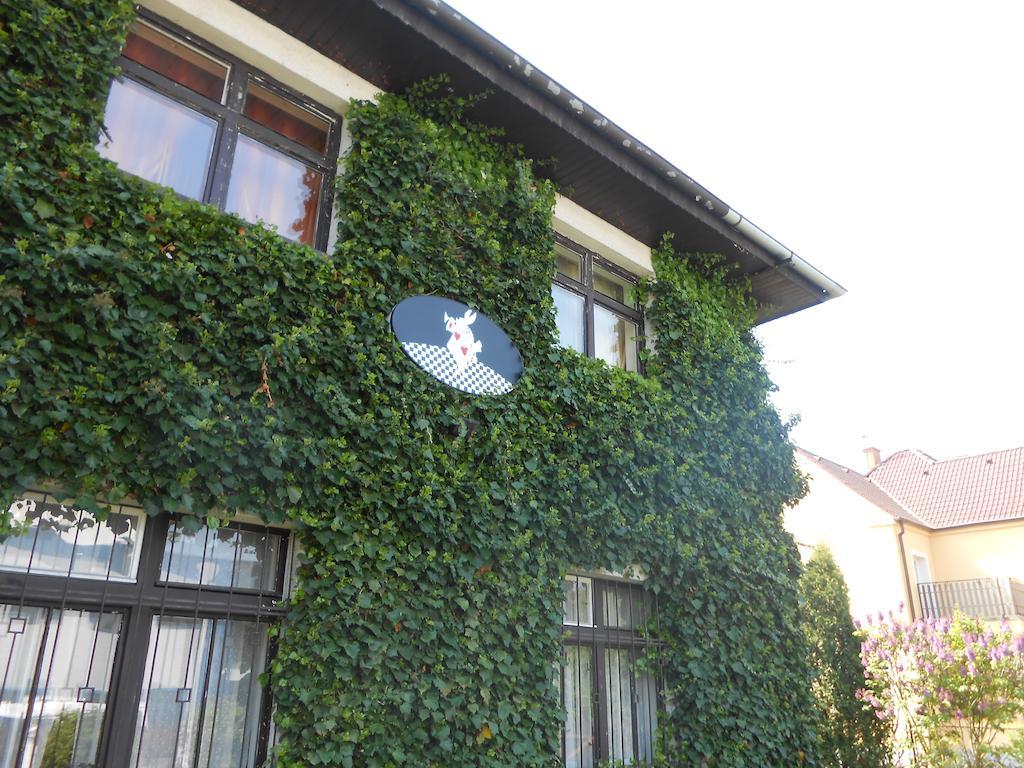 White Rabbit Hall Hotel Poděbrady Esterno foto